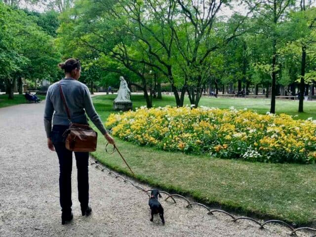 Walking-in-the-Luxembourg-Gardens-640x481